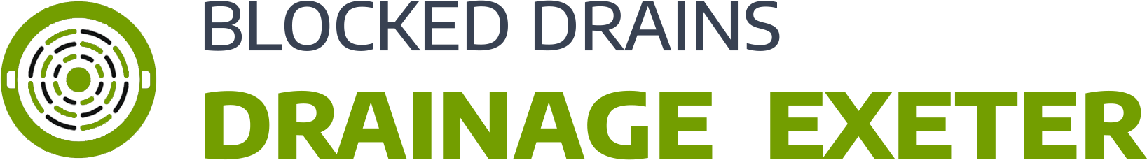 website logo